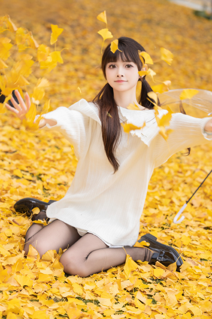 阿甘正传 封面